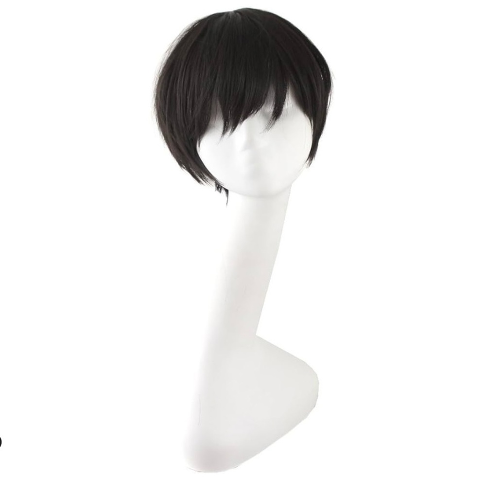 Fun, sexy Fashion Holiday Wig Anime Costume Cosplay Wig (Black). Only worn 2 hrs